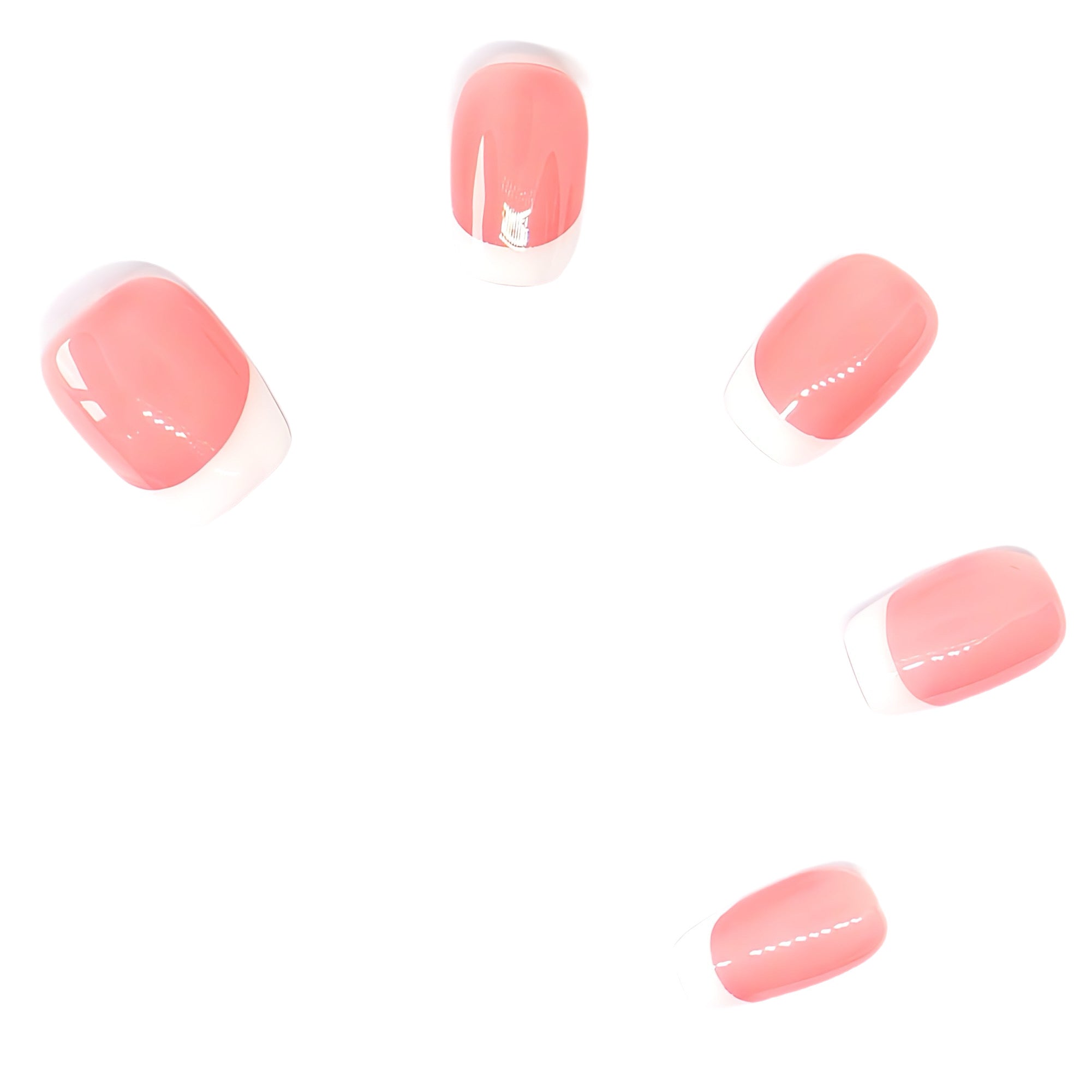 press-on-nails-french-classics-vivid-6772